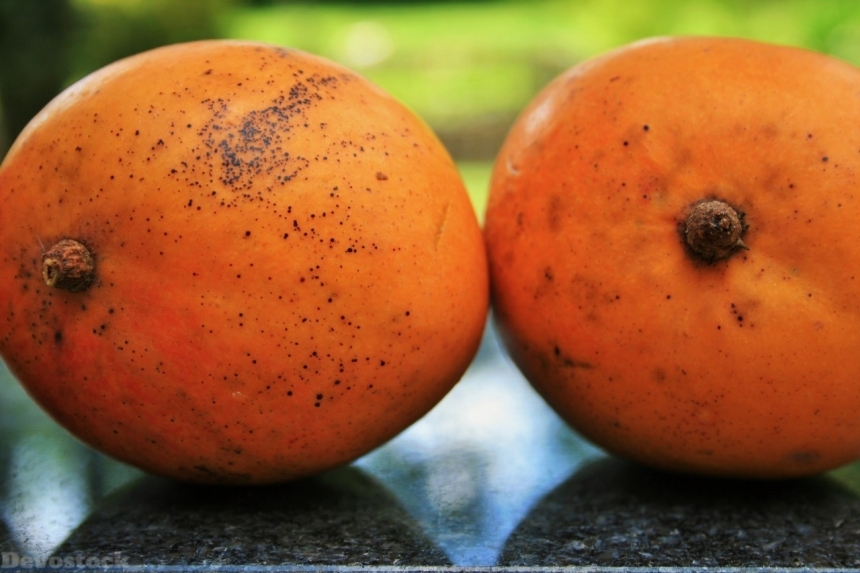 Devostock Orange fruit  (210)