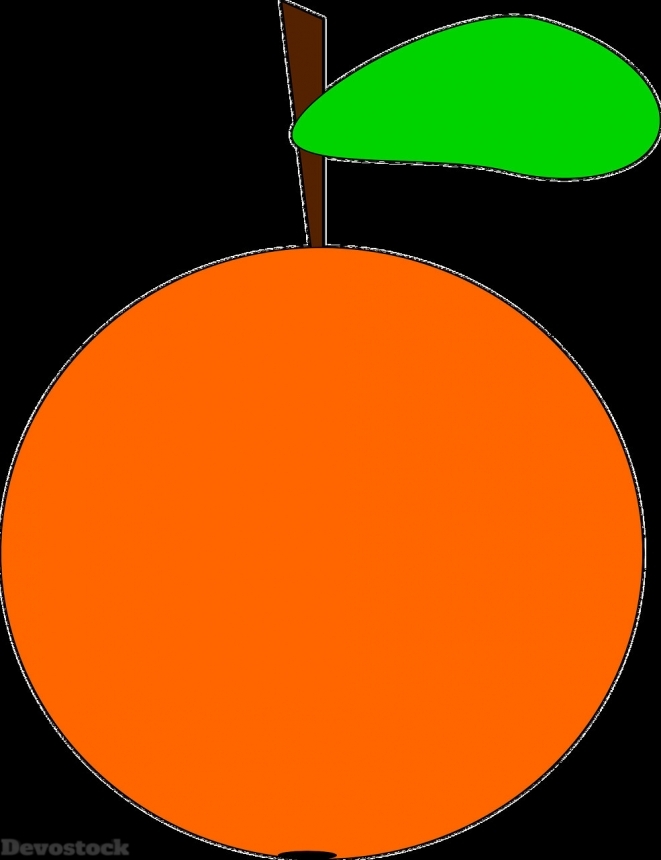 Devostock Orange fruit  (211)