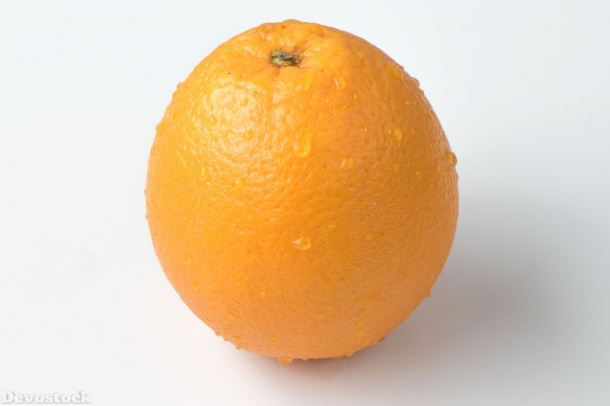 Devostock Orange fruit  (215)