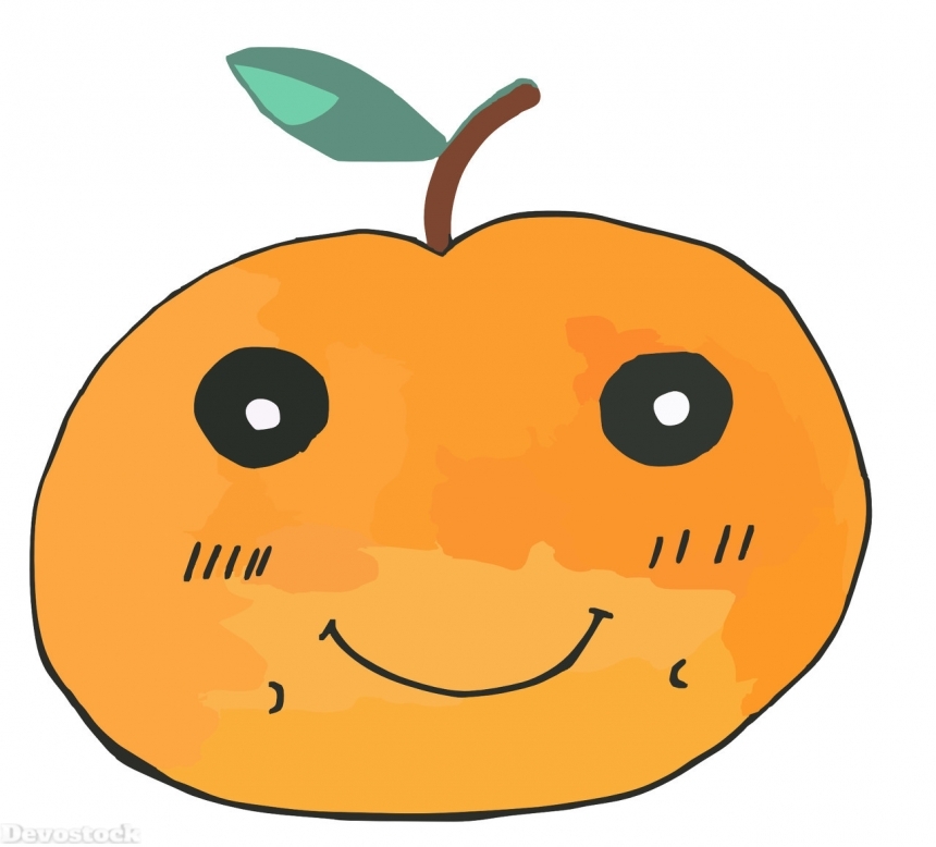 Devostock Orange fruit  (219)