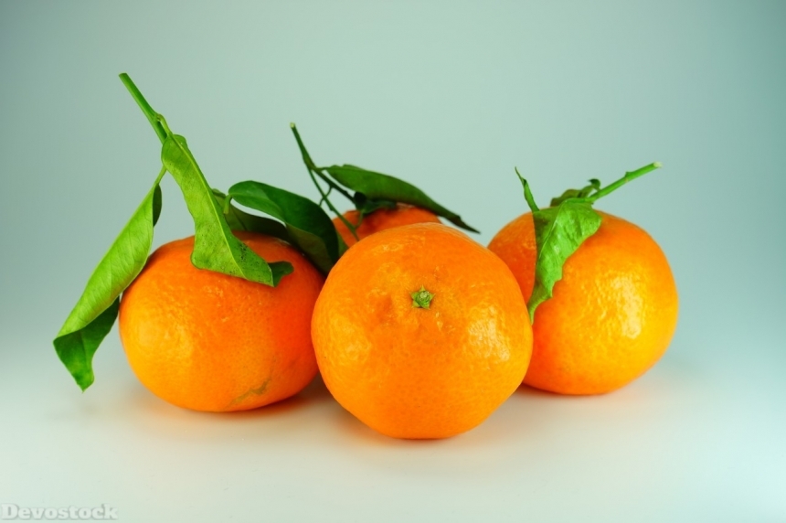 Devostock Orange fruit  (220)
