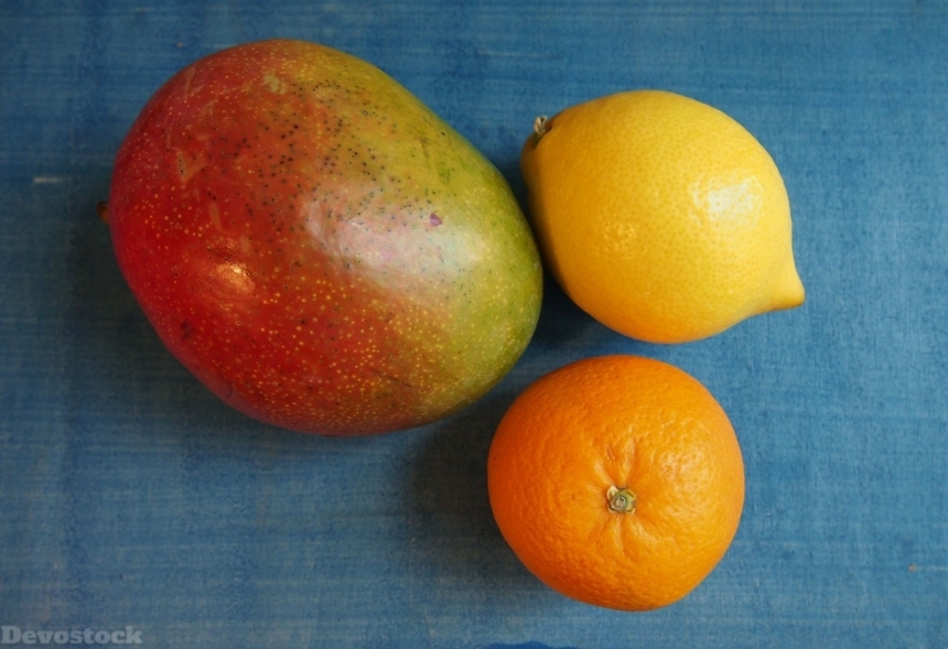Devostock Orange fruit  (224)