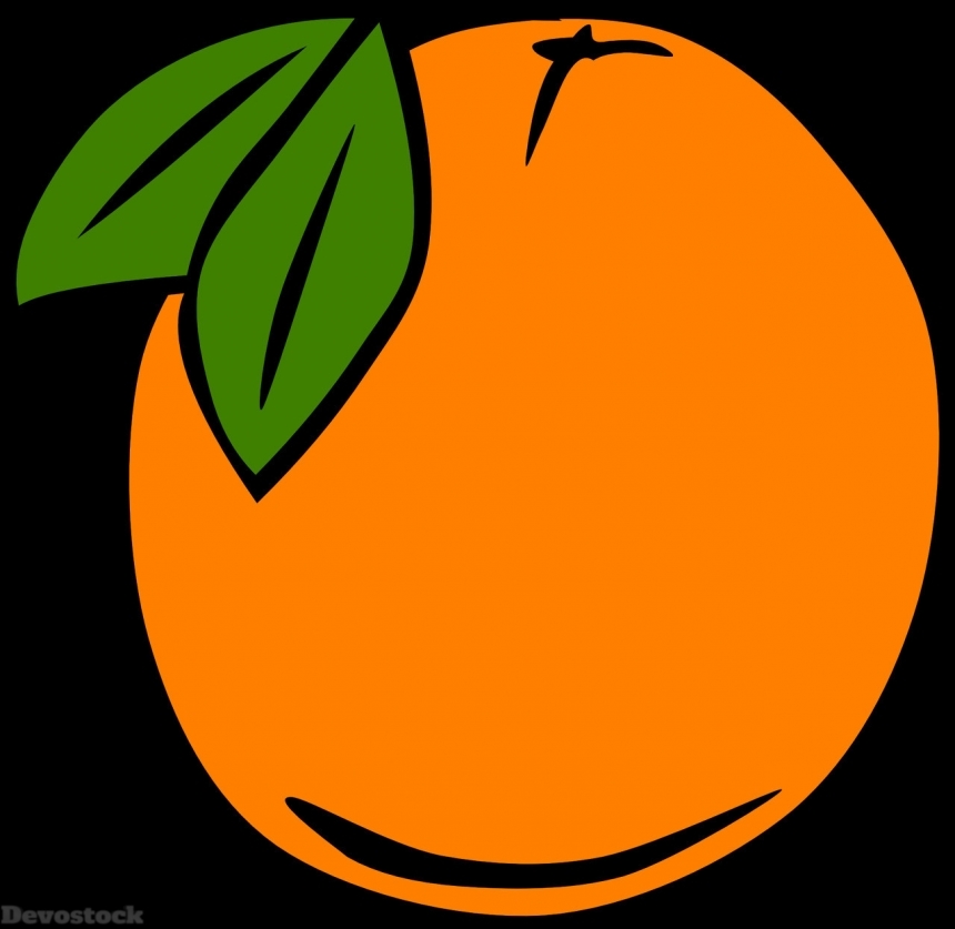 Devostock Orange fruit  (225)