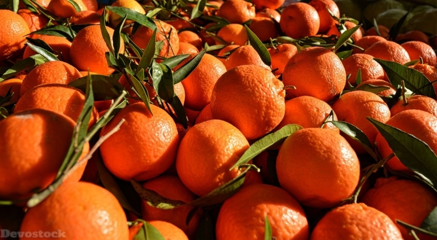 Devostock Orange fruit  (226)