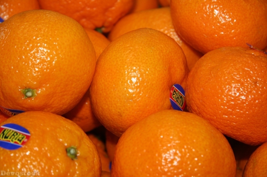 Devostock Orange fruit  (239)