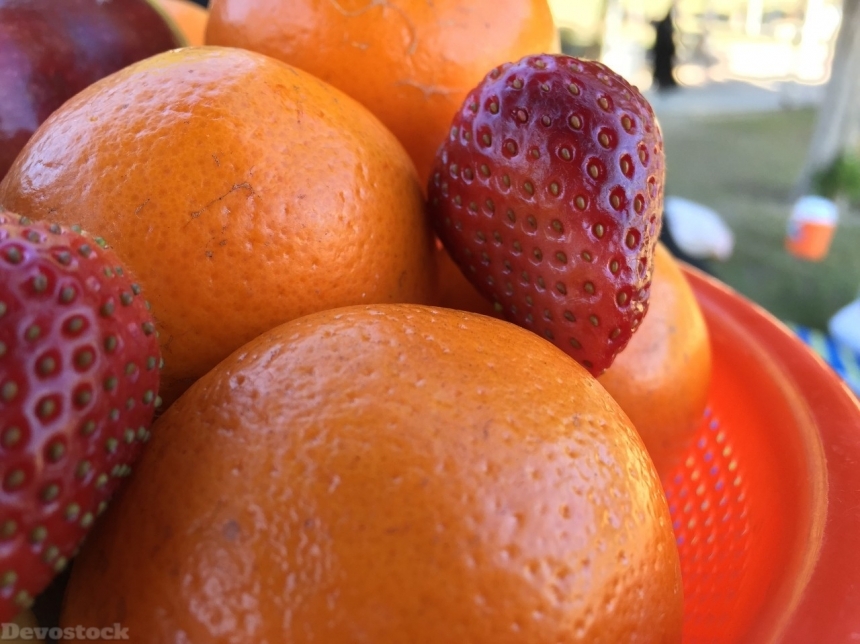 Devostock Orange fruit  (241)