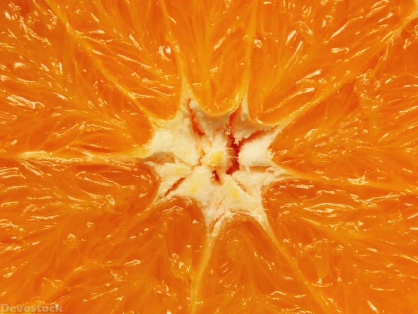Devostock Orange fruit  (244)