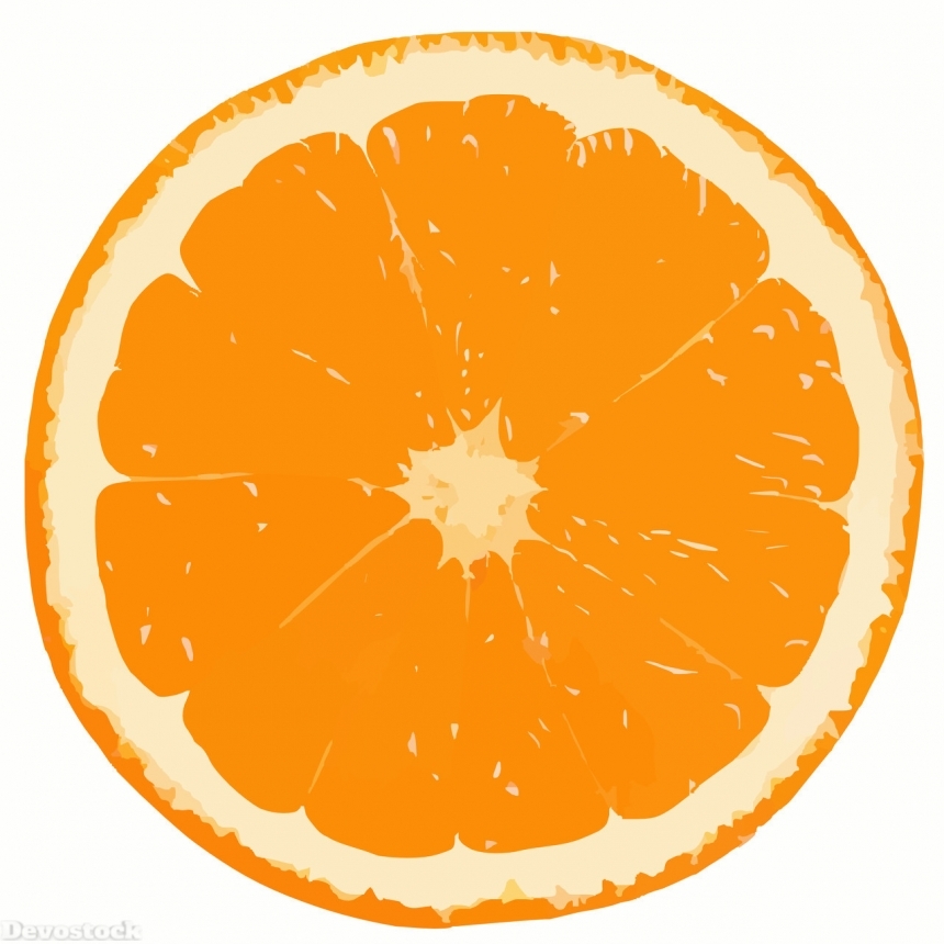 Devostock Orange fruit  (249)