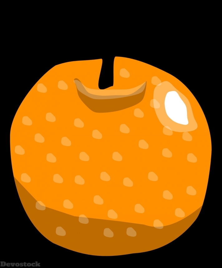 Devostock Orange fruit  (255)