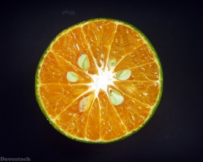 Devostock Orange fruit  (272)