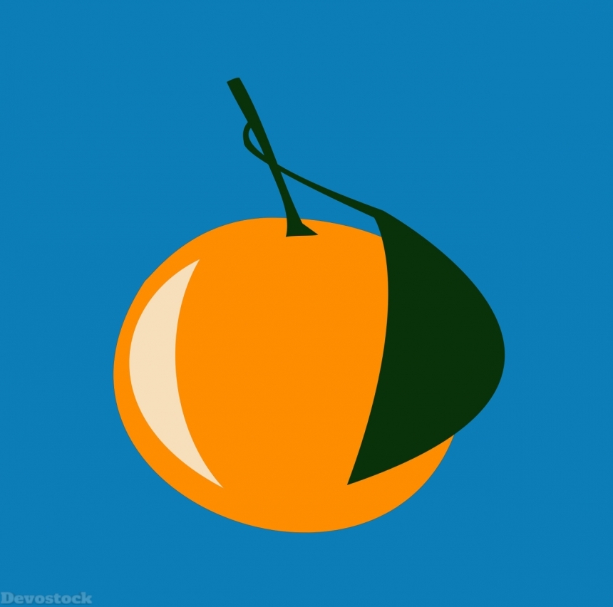 Devostock Orange fruit  (274)