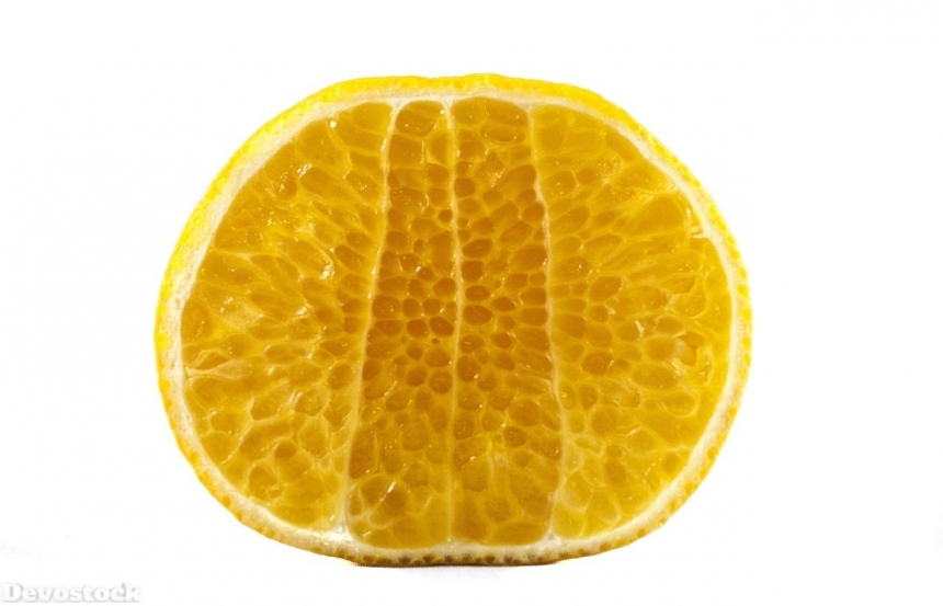 Devostock Orange fruit  (278)