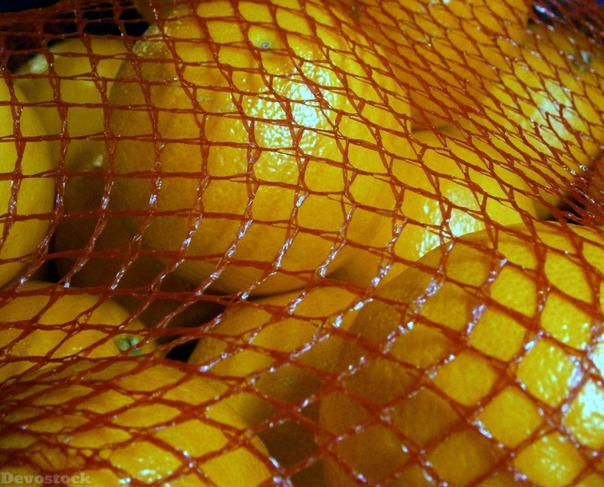 Devostock Orange fruit  (281)