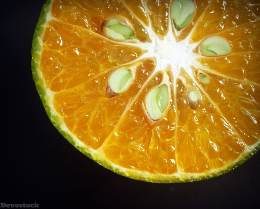 Devostock Orange fruit  (286)