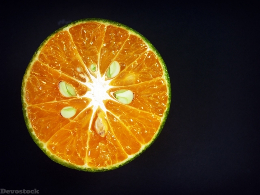 Devostock Orange fruit  (302)