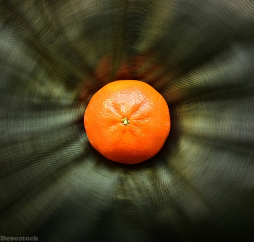 Devostock Orange fruit  (308)