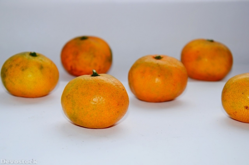 Devostock Orange fruit  (310)