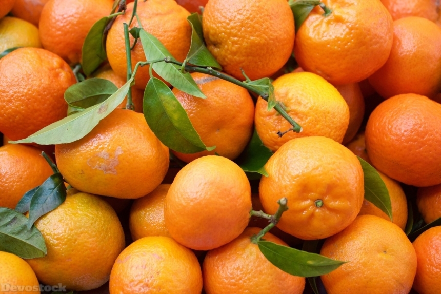 Devostock Orange fruit  (311)