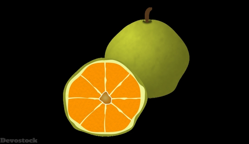 Devostock Orange fruit  (314)