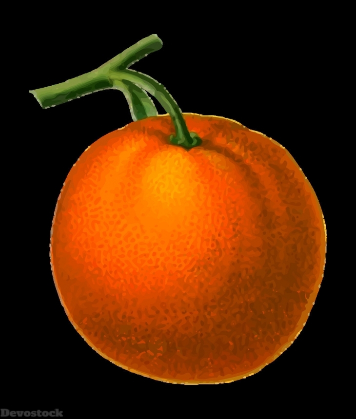 Devostock Orange fruit  (324)