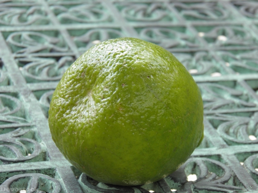 Devostock Orange fruit  (325)