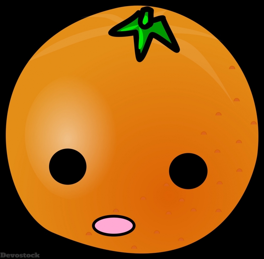 Devostock Orange fruit  (327)