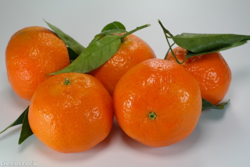Devostock Orange fruit  (332)