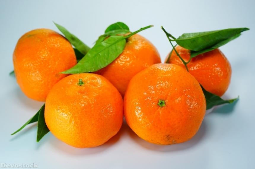 Devostock Orange fruit  (333)