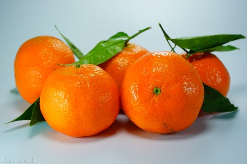 Devostock Orange fruit  (334)