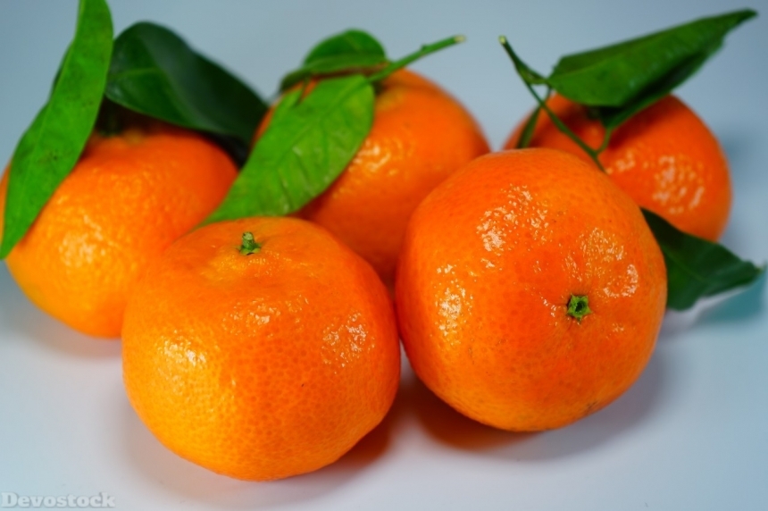 Devostock Orange fruit  (337)