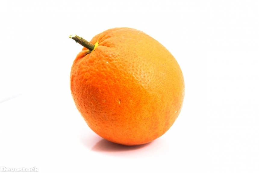 Devostock Orange fruit  (342)