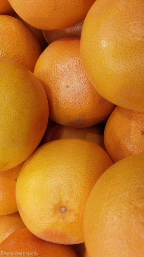 Devostock Orange fruit  (344)