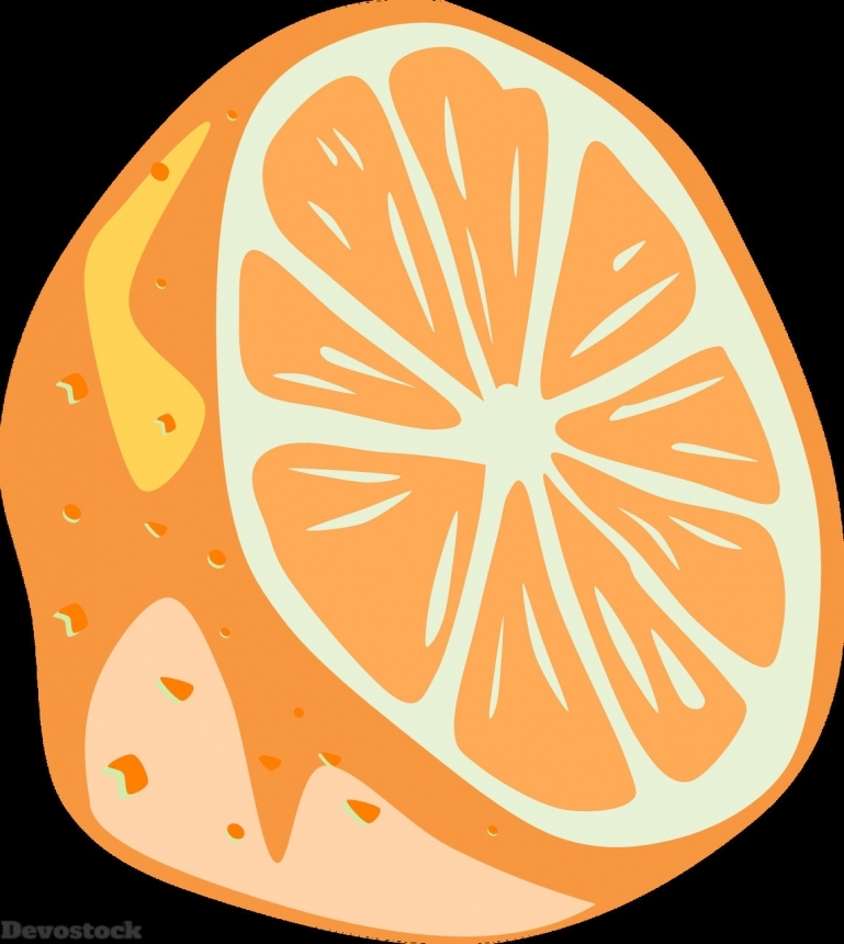 Devostock Orange fruit  (347)