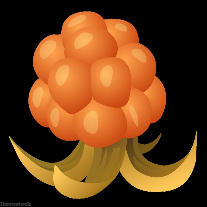 Devostock Orange fruit  (350)