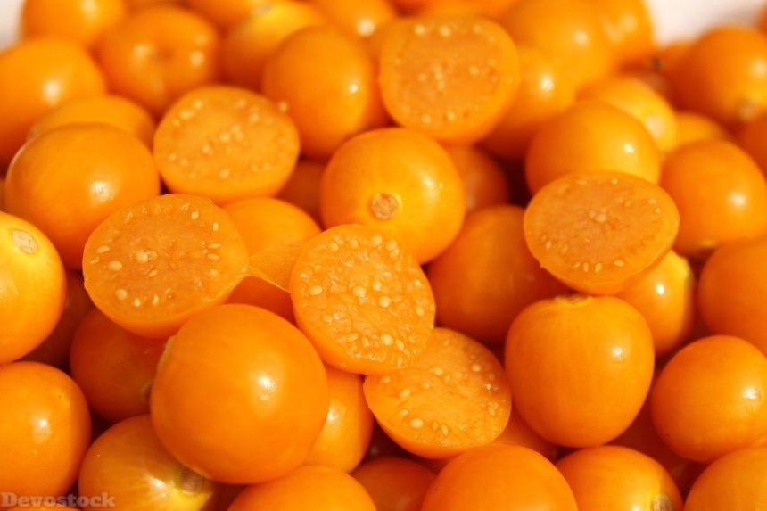 Devostock Orange fruit  (354)