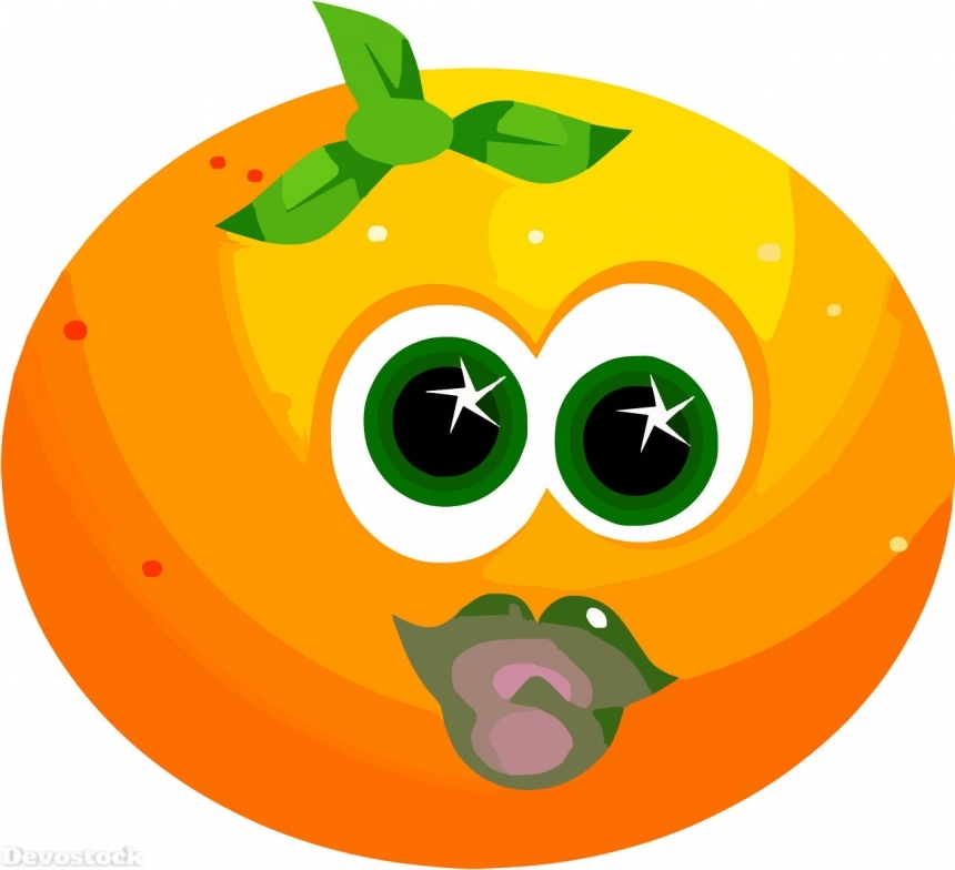 Devostock Orange fruit  (355)