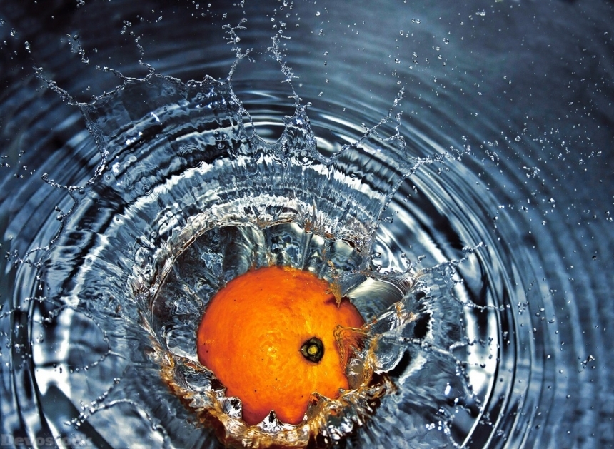 Devostock Orange fruit  (362)