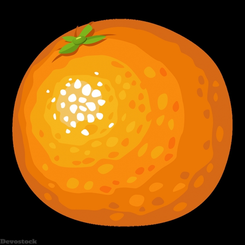 Devostock Orange fruit  (365)
