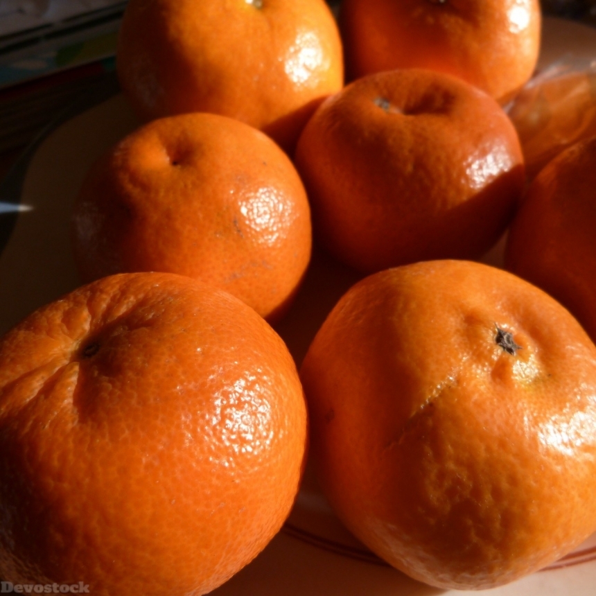 Devostock Orange fruit  (368)