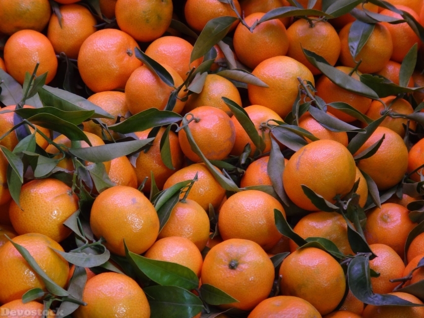 Devostock Orange fruit  (376)