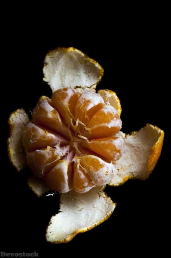 Devostock Orange fruit  (379)