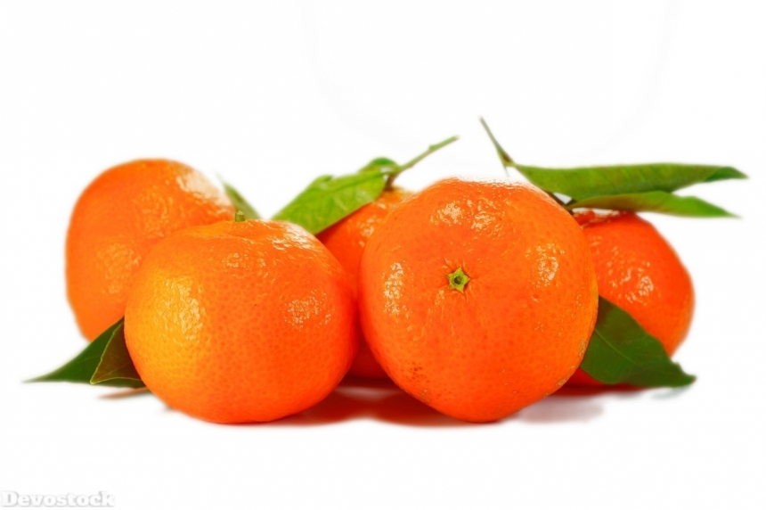 Devostock Orange fruit  (389)
