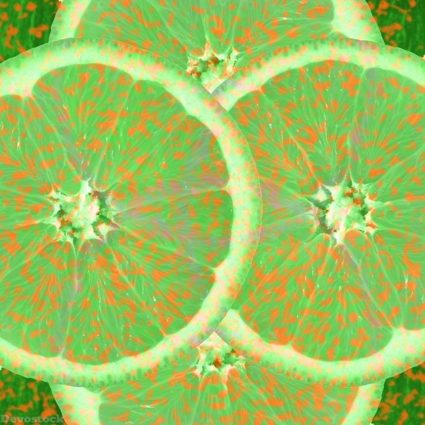 Devostock Orange fruit  (393)