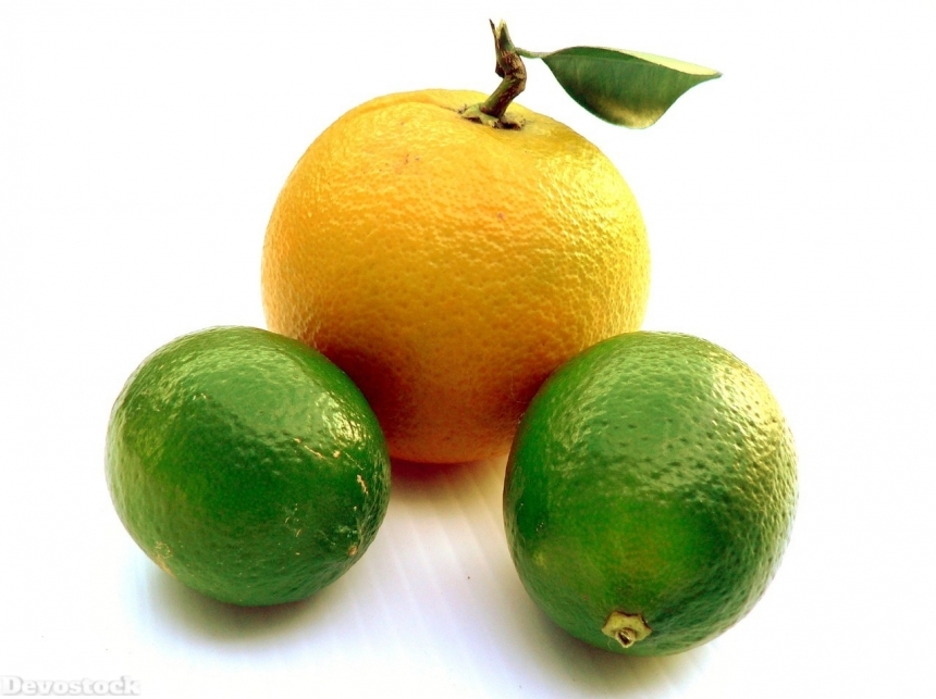 Devostock Orange fruit  (396)