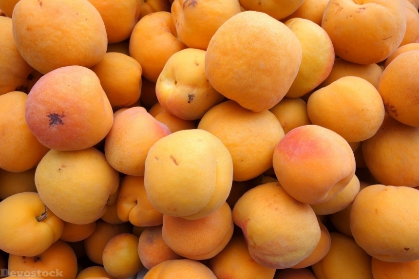 Devostock Orange fruit  (399)
