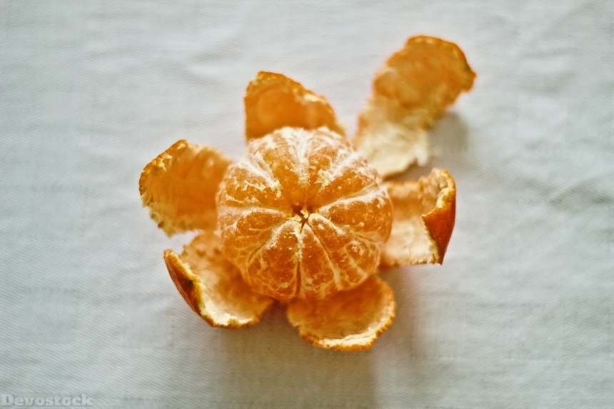 Devostock Orange fruit  (402)