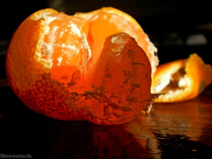 Devostock Orange fruit  (413)