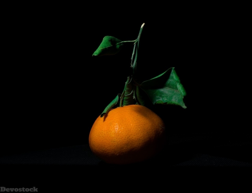 Devostock Orange fruit  (417)