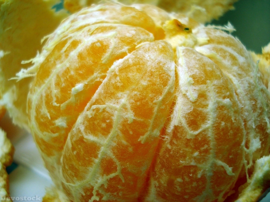 Devostock Orange fruit  (435)