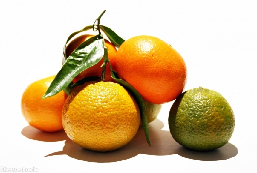 Devostock Orange fruit  (437)